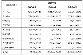 望城债务清欠服务