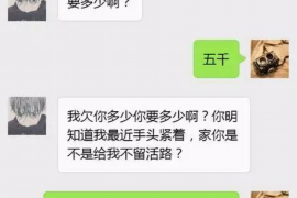 望城企业清欠服务